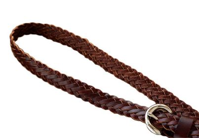 Ladies Casual Leather Belt Women's Fashion Wild Simple Belt 4 Brown